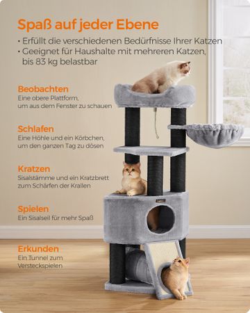 5. Bild von Feandrea Kratzbaum M mit Höhle