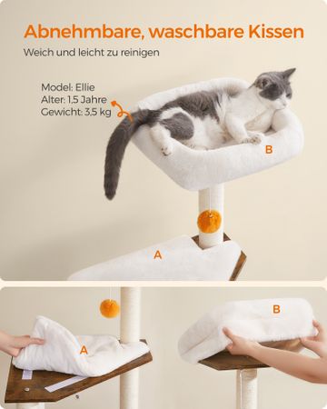 6. Bild von Feandrea 2-in-1 moderner Katzenbaum