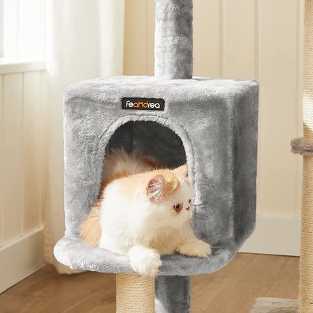 6. Bild von Feandrea Kratzbaum mit Kuschelhöhle