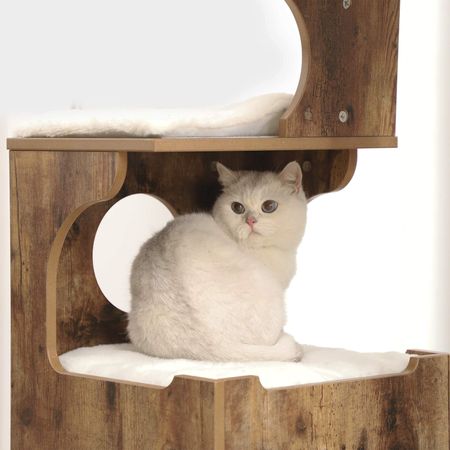 7. Bild von Feandrea Kratzbaum 86 cm hoch