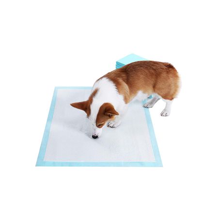 4. Bild von Feandrea Puppy Pads 100 Stück
