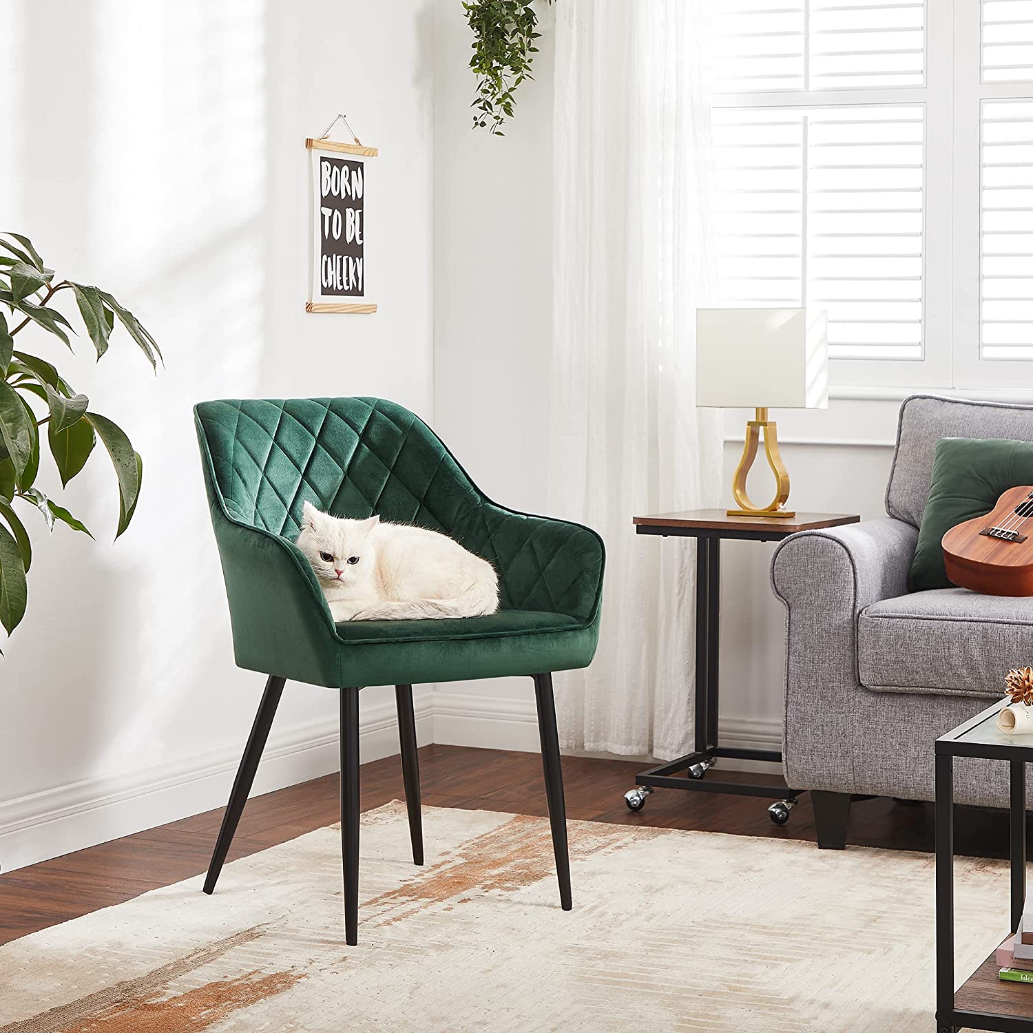 Valgomojo kėdė žalia