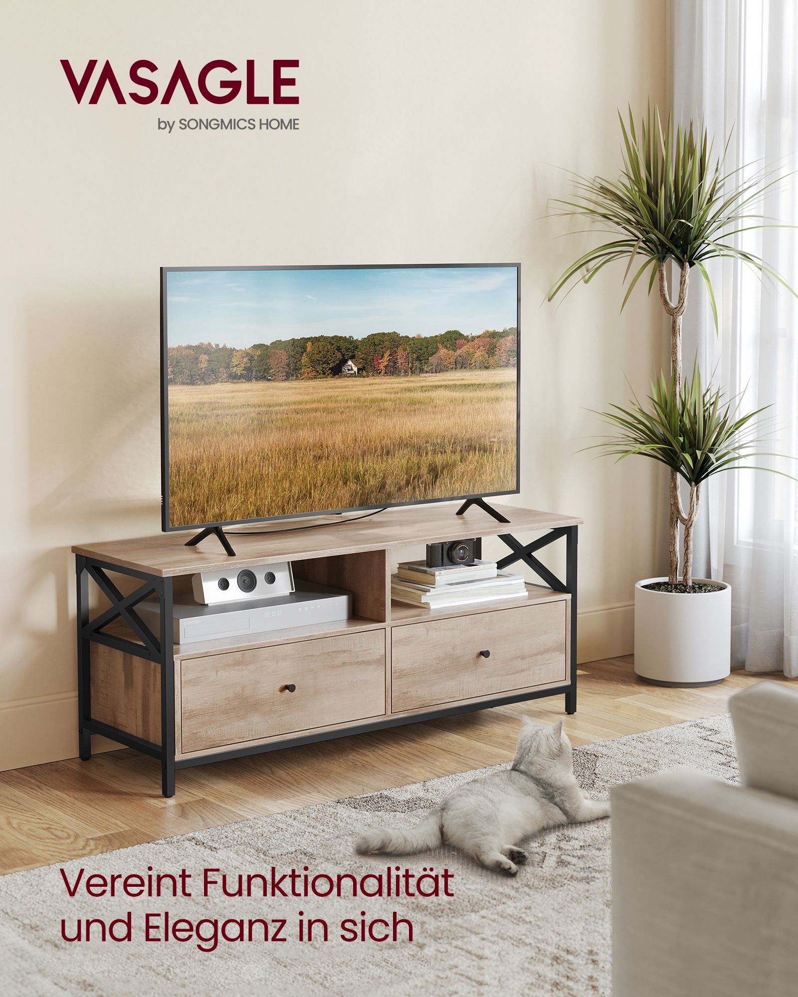 Televizoriaus spintelė
