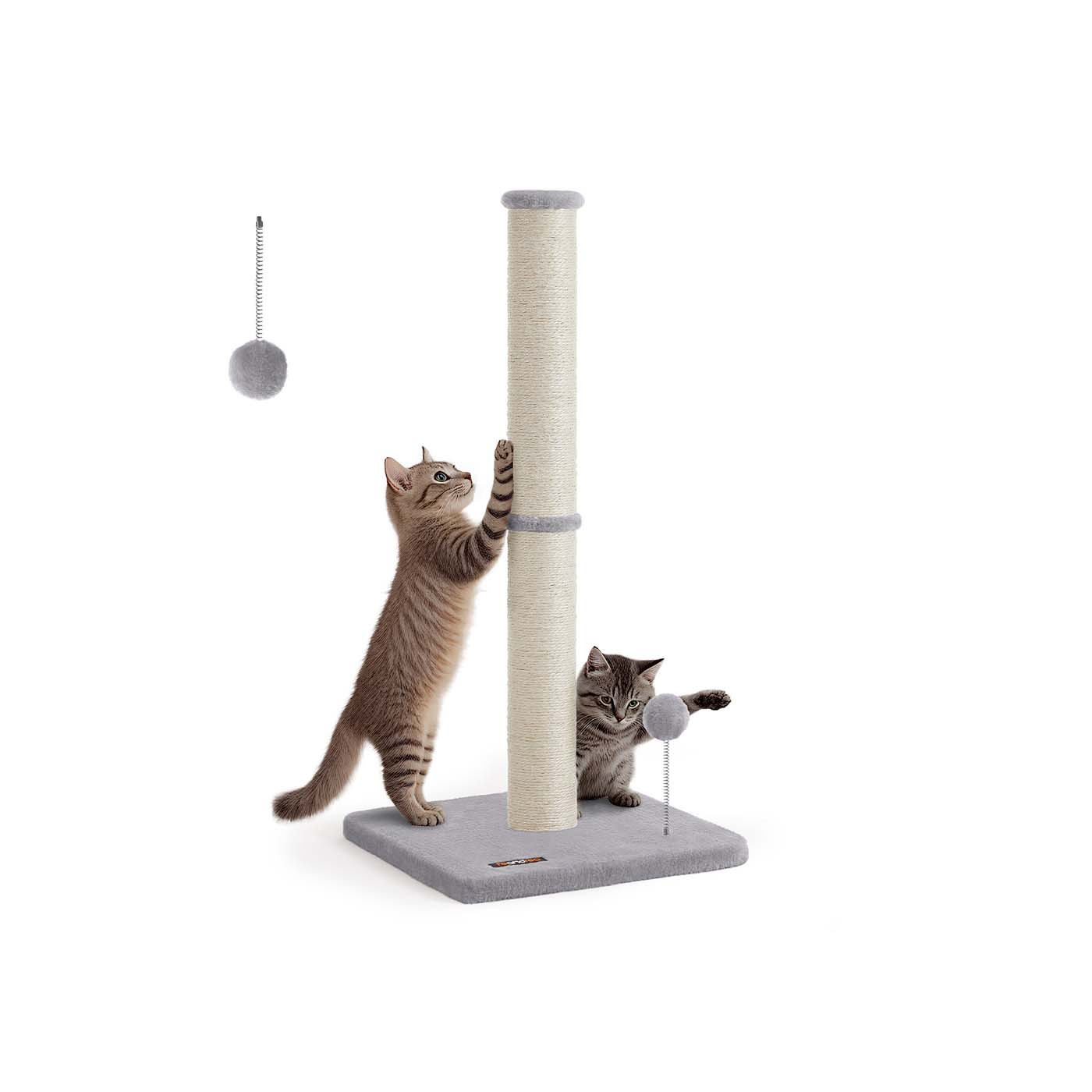 Kratzbaum für Kätzchen und Normale ausgewachsene Katzen