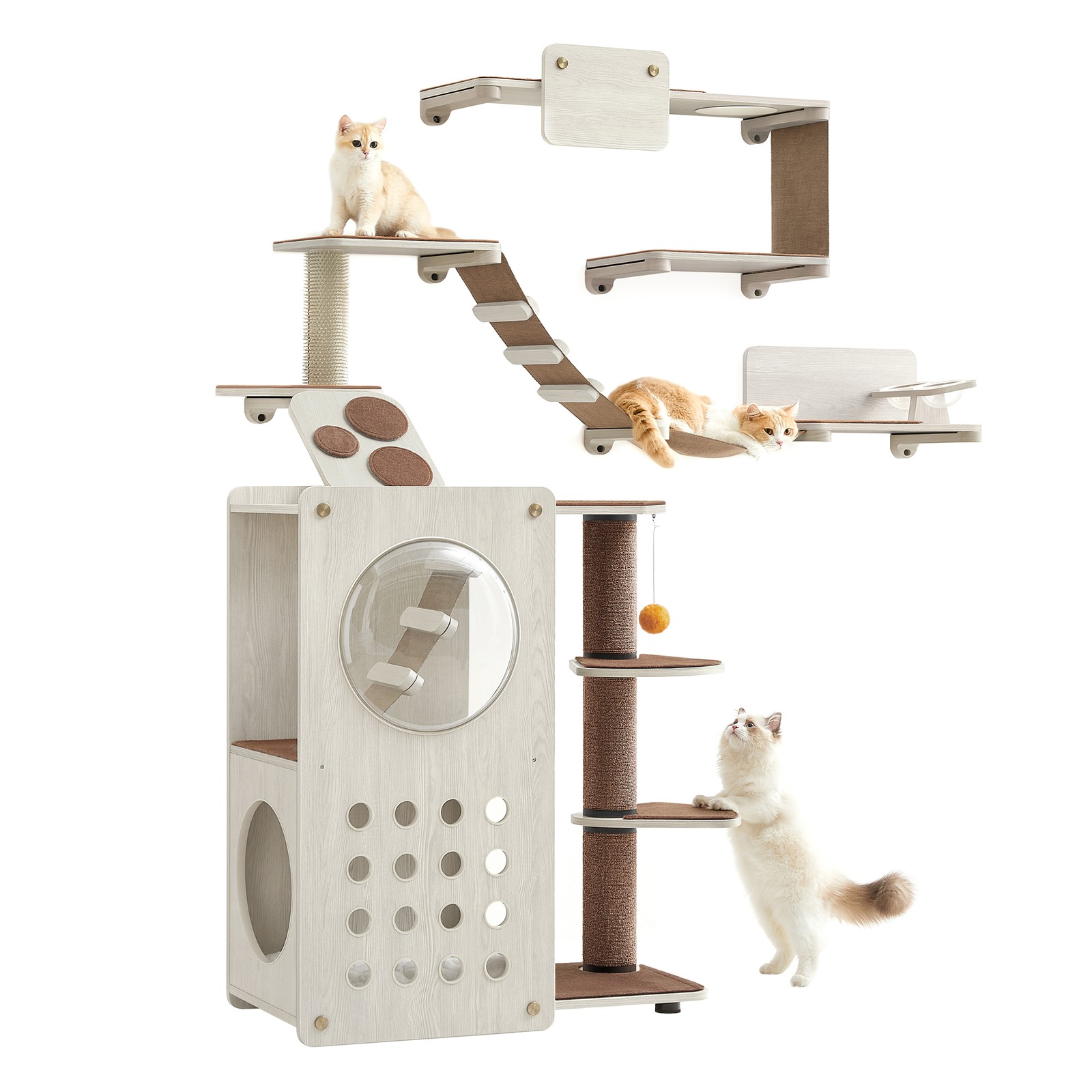 Kačių baldų laipiojimo sienelės rinkinys