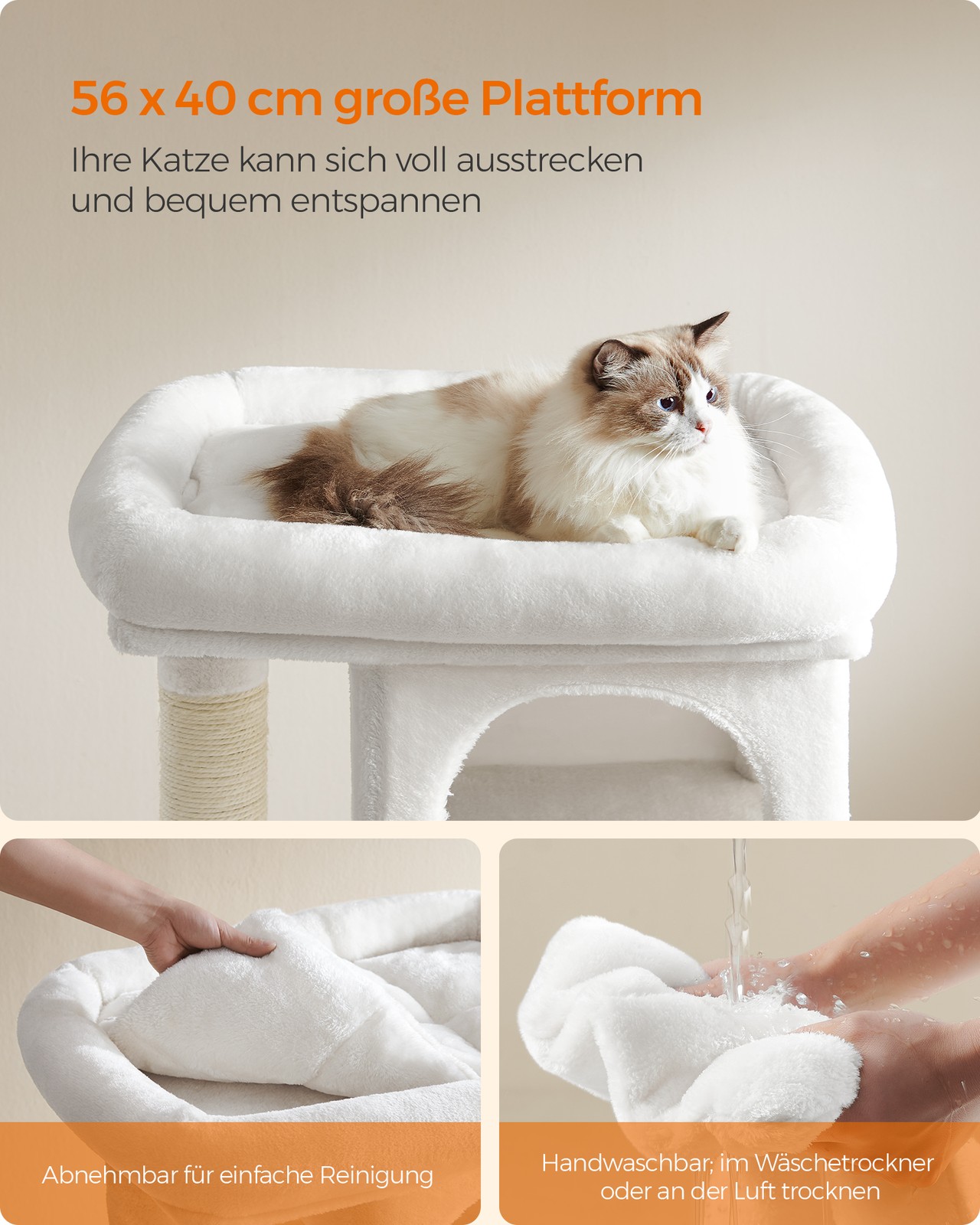 Draskyklė nuotrauka 2