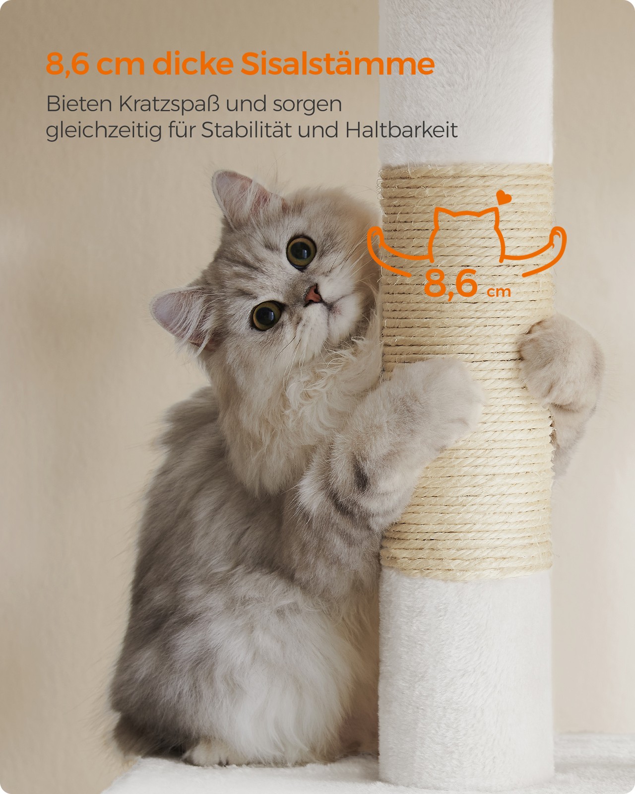 Draskyklė nuotrauka 4