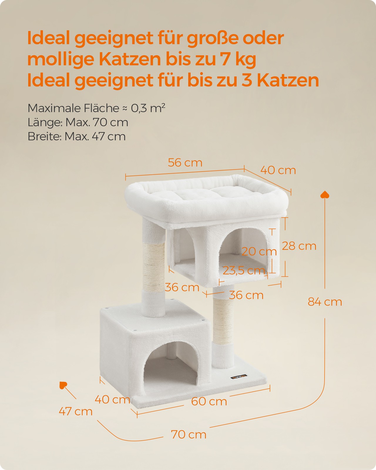 Draskyklė nuotrauka 5