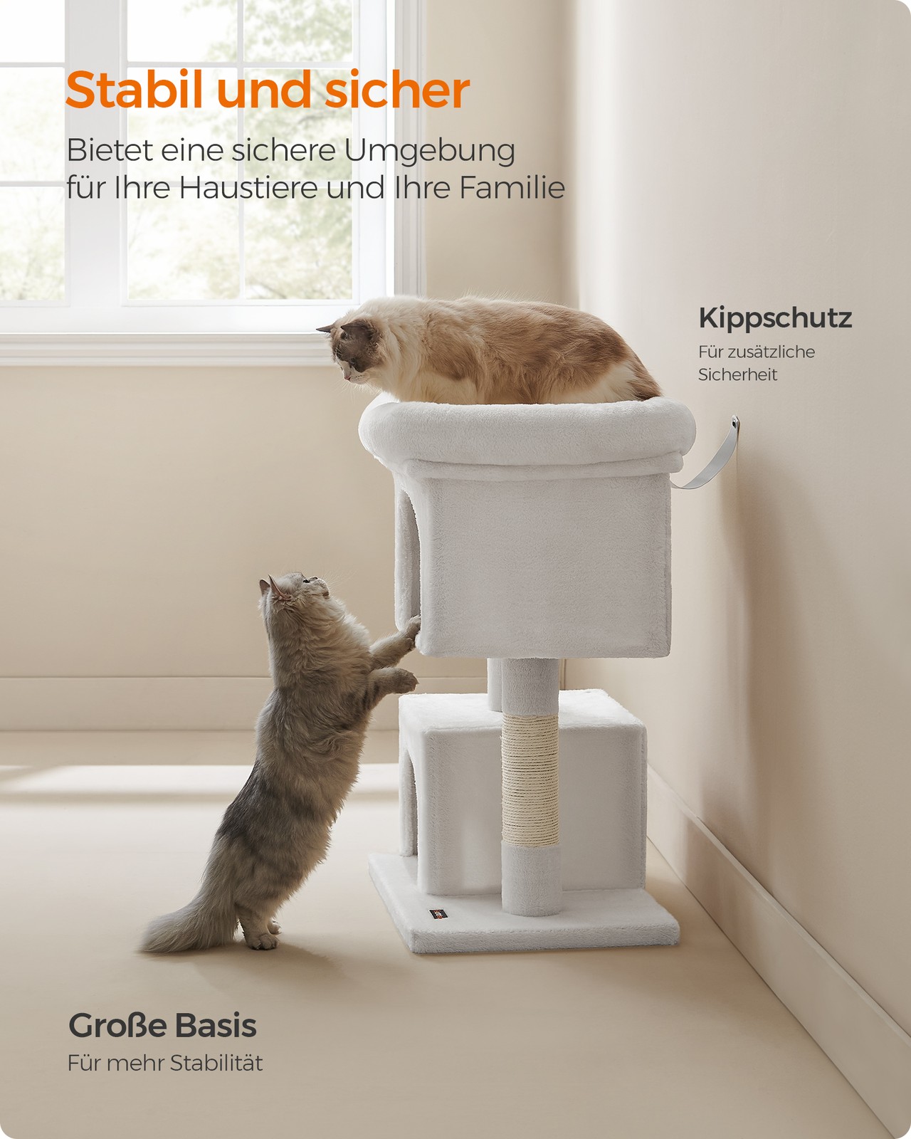 Draskyklė nuotrauka 7