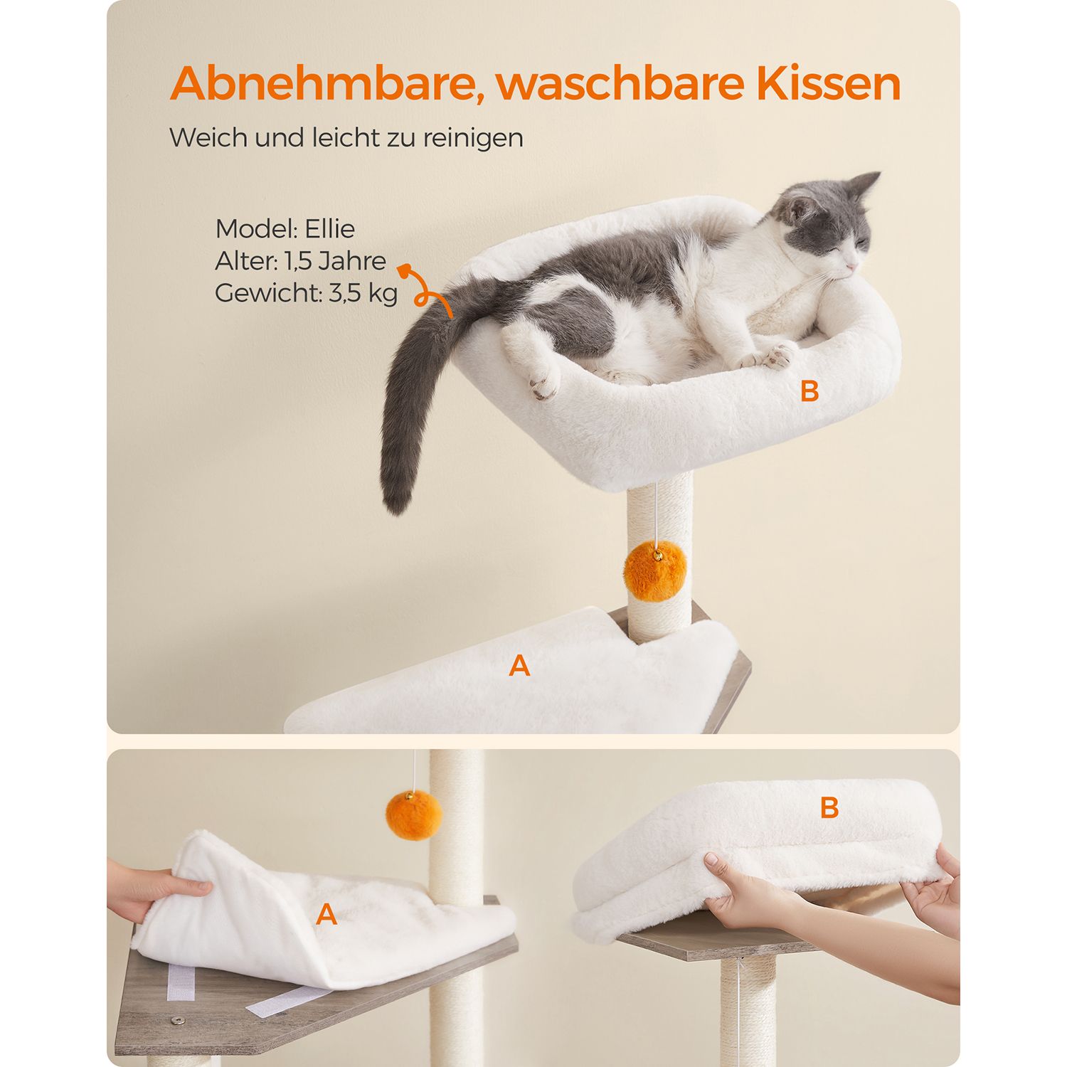 Kačių draskyklė 4