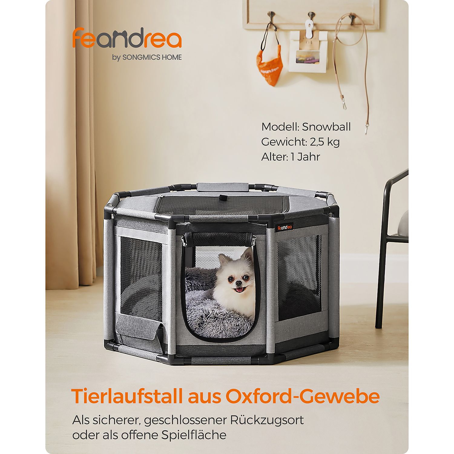 Aštuonkampė šuniukų žaidimų aikštelė