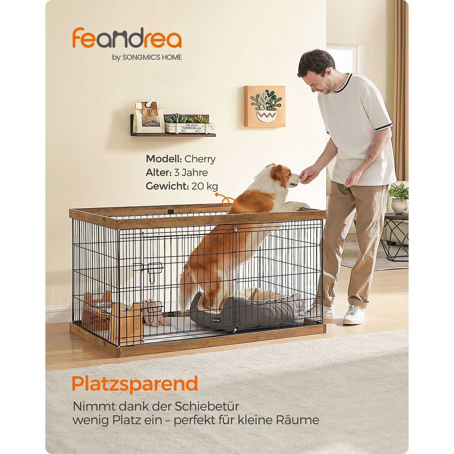 Laisvo laikymo aptvaras 1