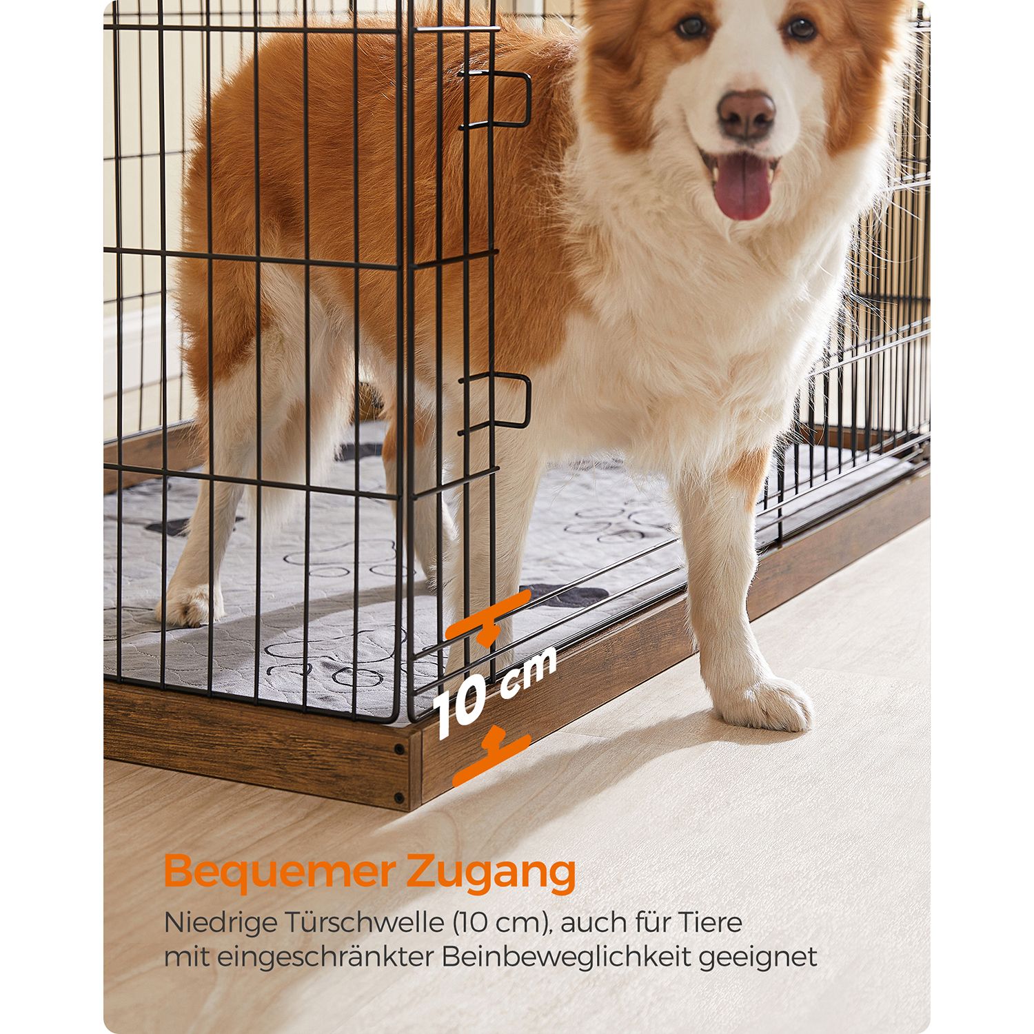 Laisvo laikymo aptvaras 4