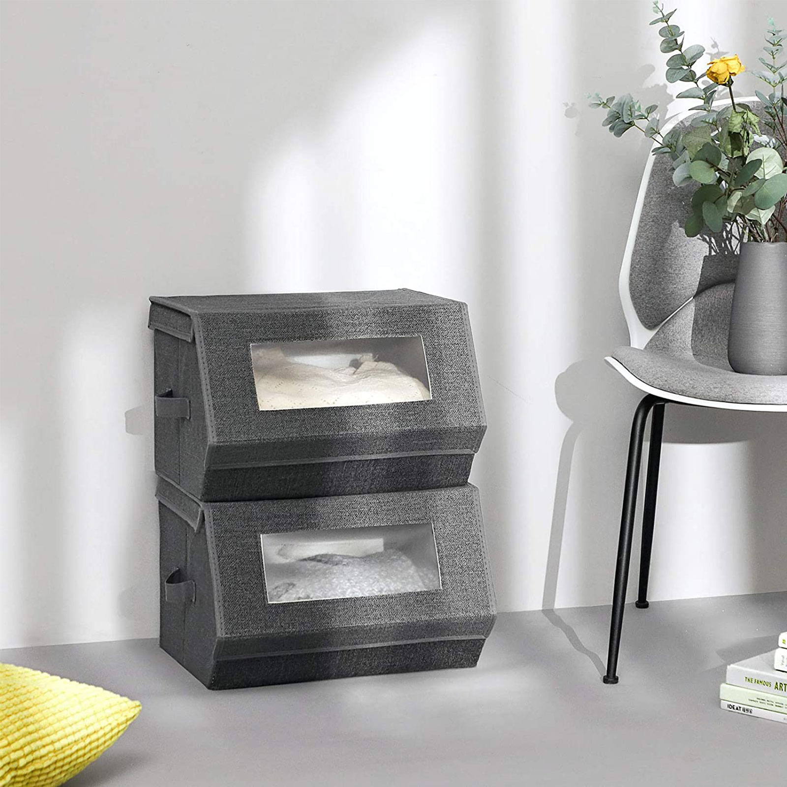 SONGMICS Aufbewahrungsboxen, 2er Set, mit transparentem Sichtfenster