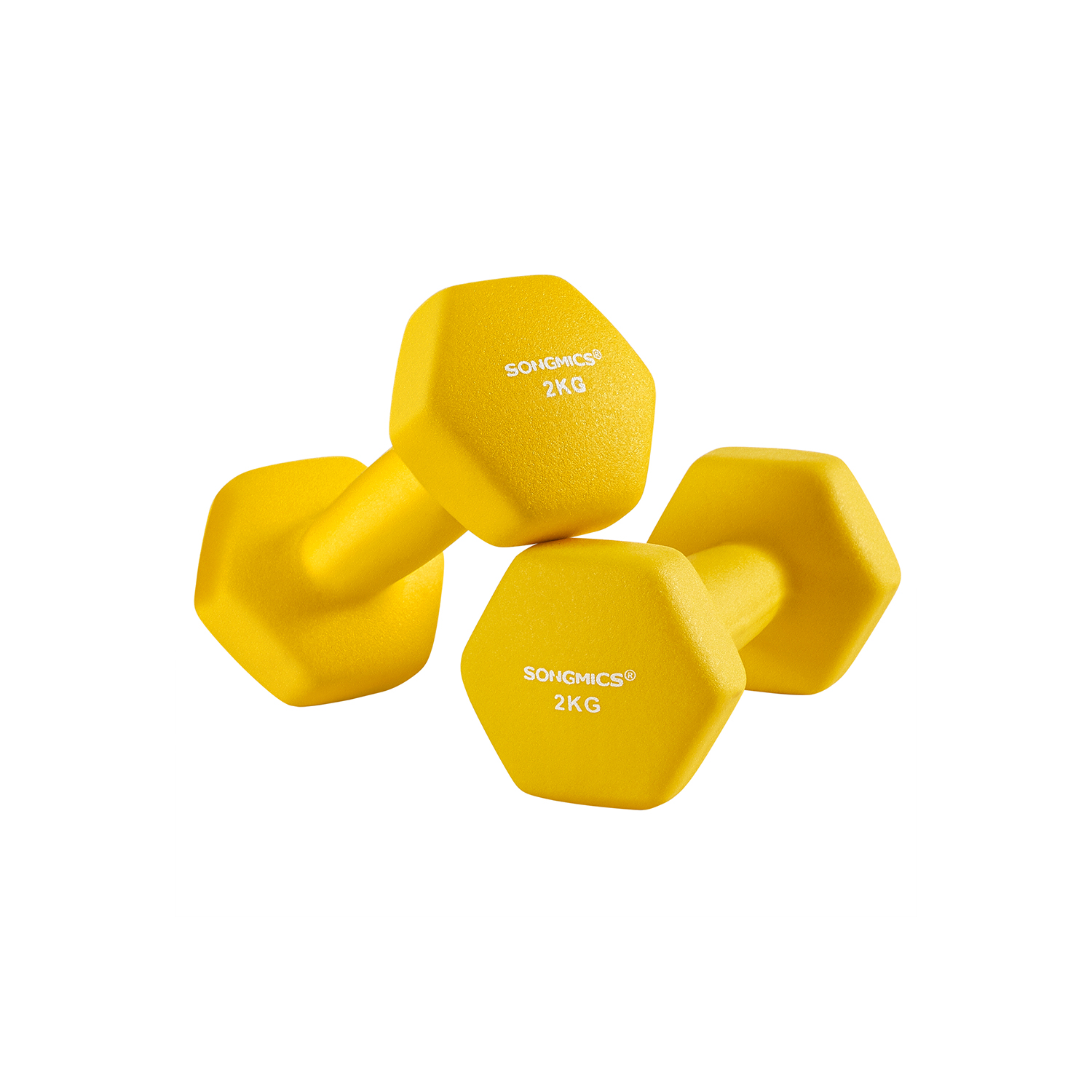 Hanteln 2er Set 2 x 2 kg