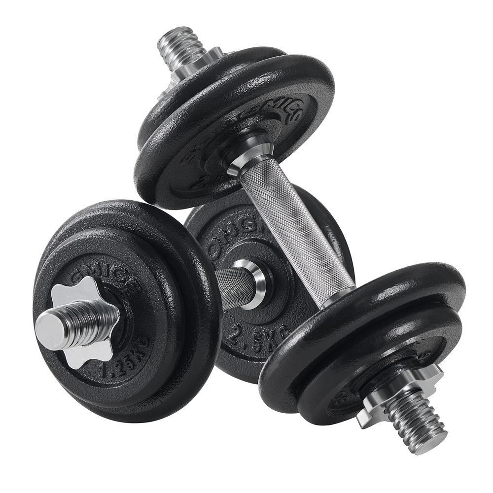 SONGMICS Hanteln, Hantelset aus Gusseisen, Kurzhanteln, 2 x 10 kg, verstellbar, Workout, Fitnesstraining, Gewichtheben für Zuhause, Fitnessstudio, tintenschwarz SYL20T