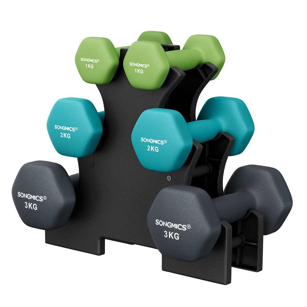 SONGMICS Kurzhantel Set, Hanteln, Hexagon, mit Hantelständer, 2 x 1 kg, 2 x 2 kg, 2 x 3 kg,