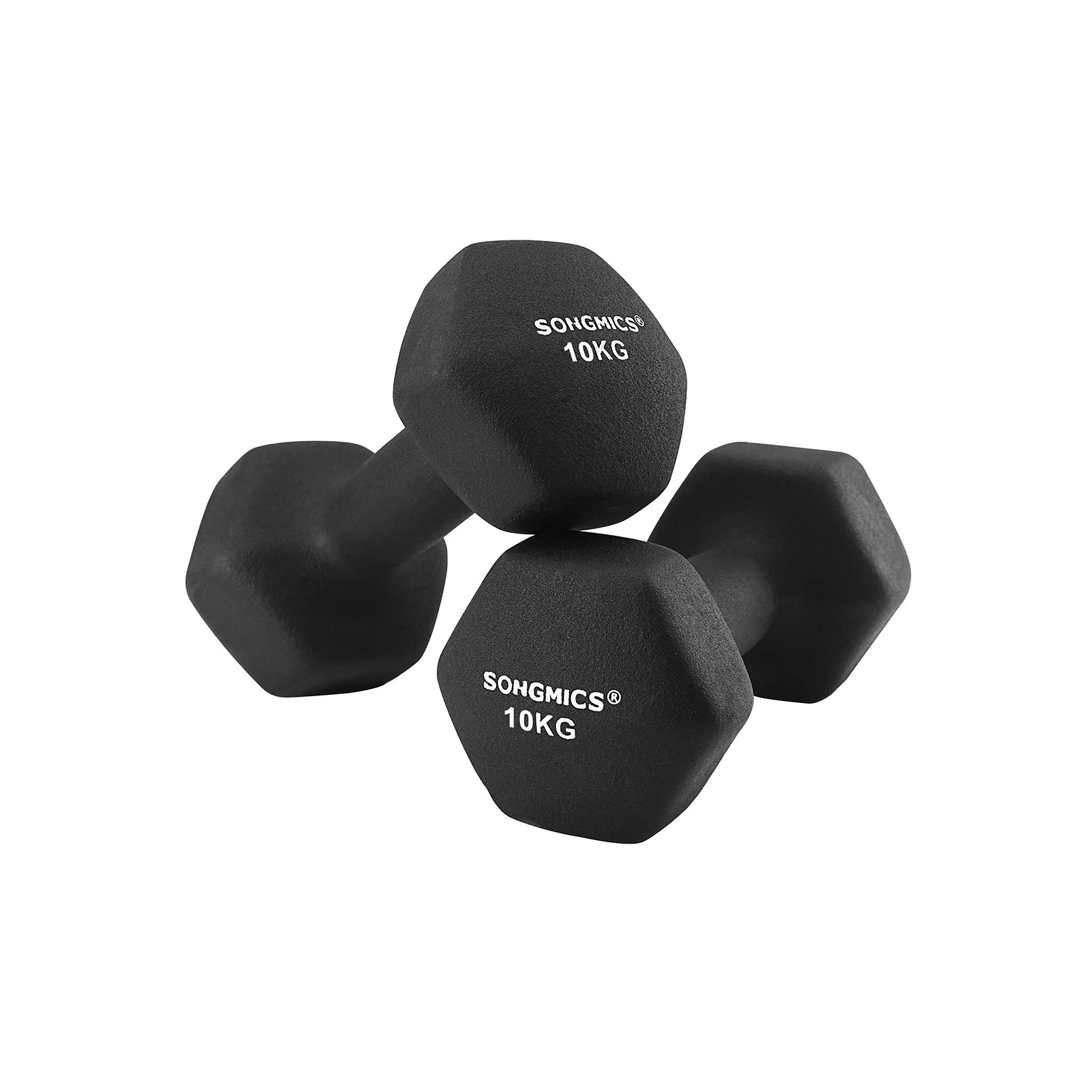 Kurzhanteln 2er Set (2 x 10 kg)